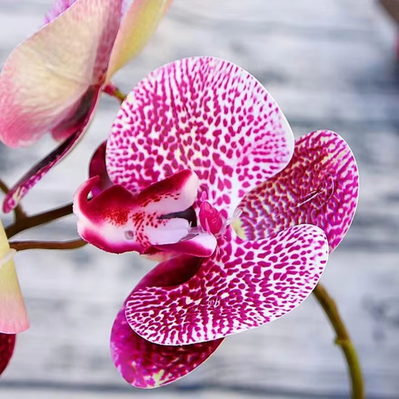 3D Artificial Flowers Plastic  - 3D Printing Vase recension och pris